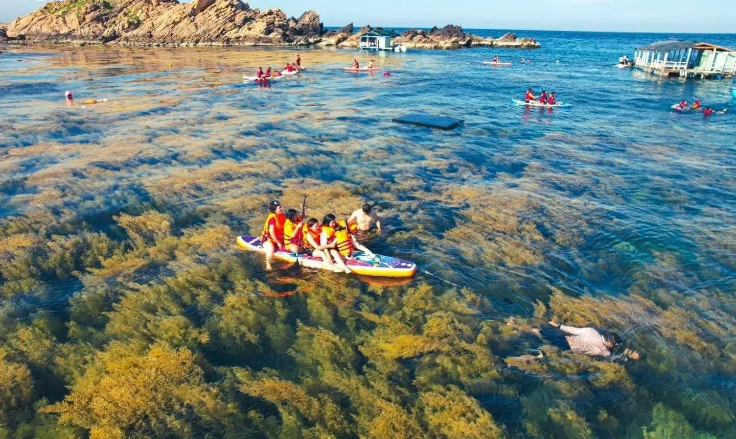 Private tour | The coral gardens of Hon Kho - Snorkeling & Island Adventure in Quy Nhon